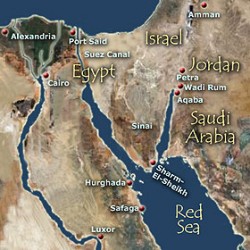 Red Sea Cruise