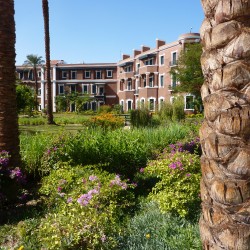 The beautiful gardens at the Old Cataract Hotel Aswan